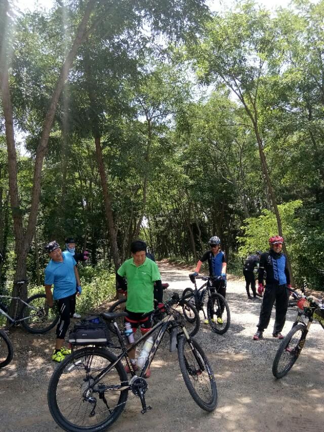 我的骑行故事画画,我的骑行故事全集