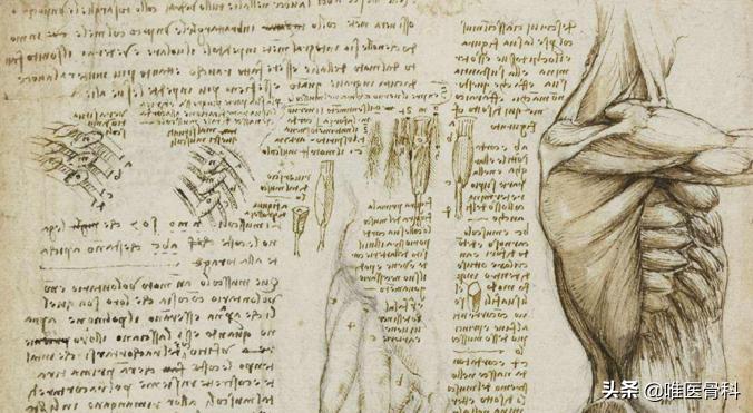 第一例新型冠状病毒遗体解剖真相,新型冠状病毒肺炎人体解剖