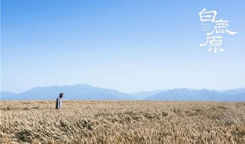 大江大河看完还有哪个电视剧好看,10部最耐看的年代剧大江大河