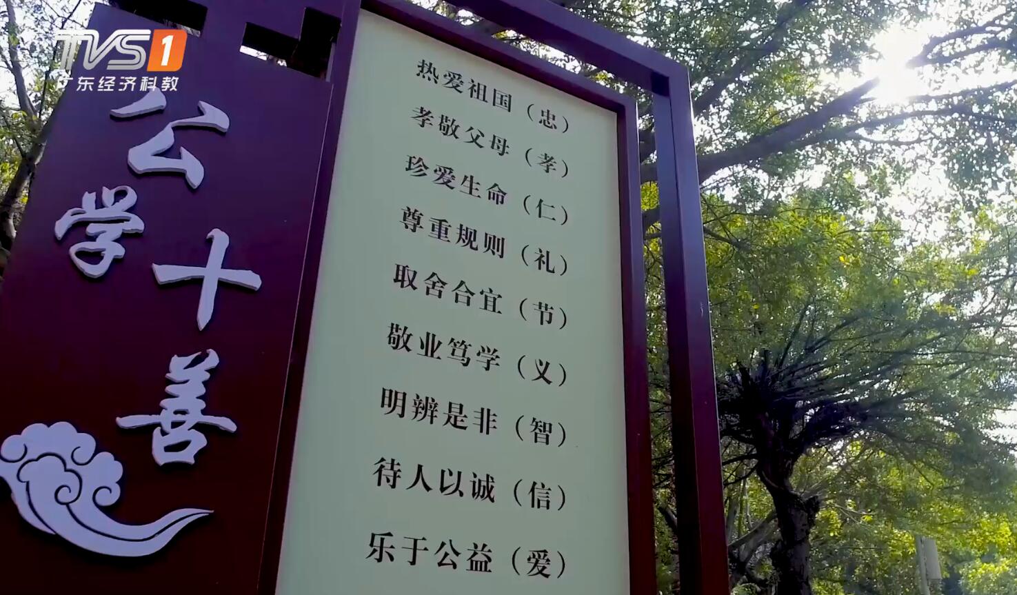 广东经济频道报道,广东经济频道采访