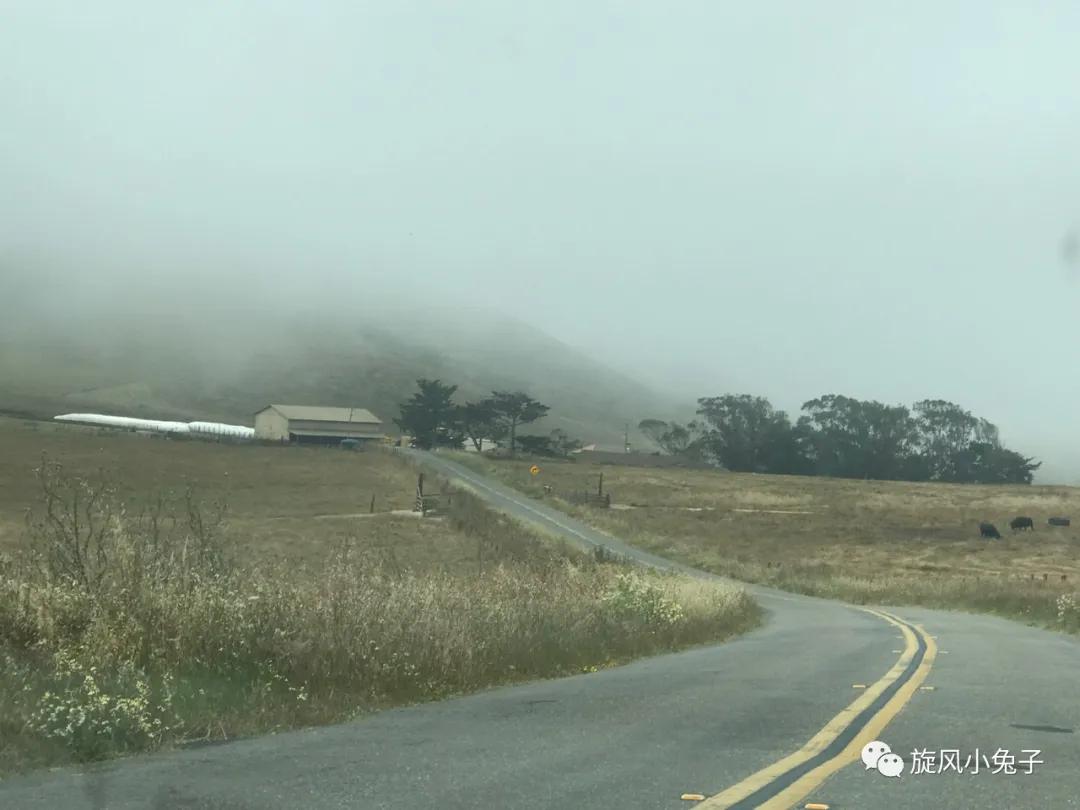 加州沿海1号公路,加州沿海一号公路一日游推荐