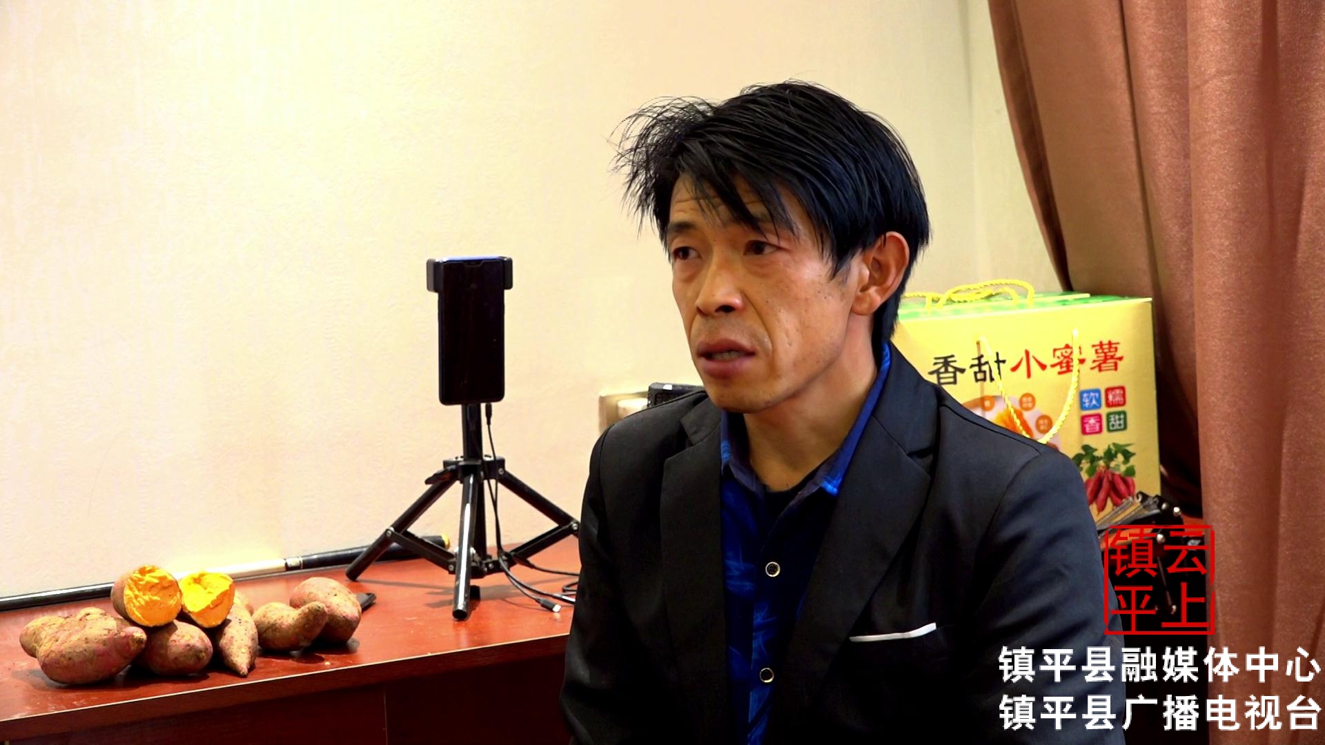 镇平县电商发展情况,镇平电商产业怎么发展起来的