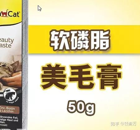 贫民窟女孩养猫好物合集,贫民窟养猫一个月花多少钱