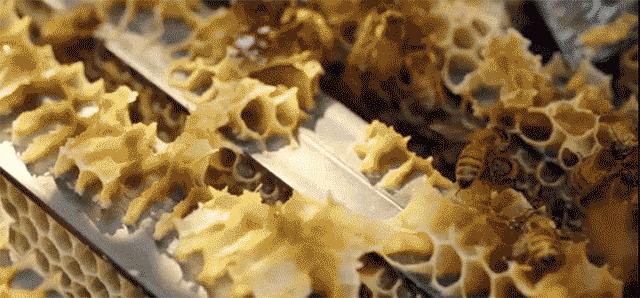 抗痘抑菌凝胶,祥顺比尔霍夫抑菌凝胶治理皮癣