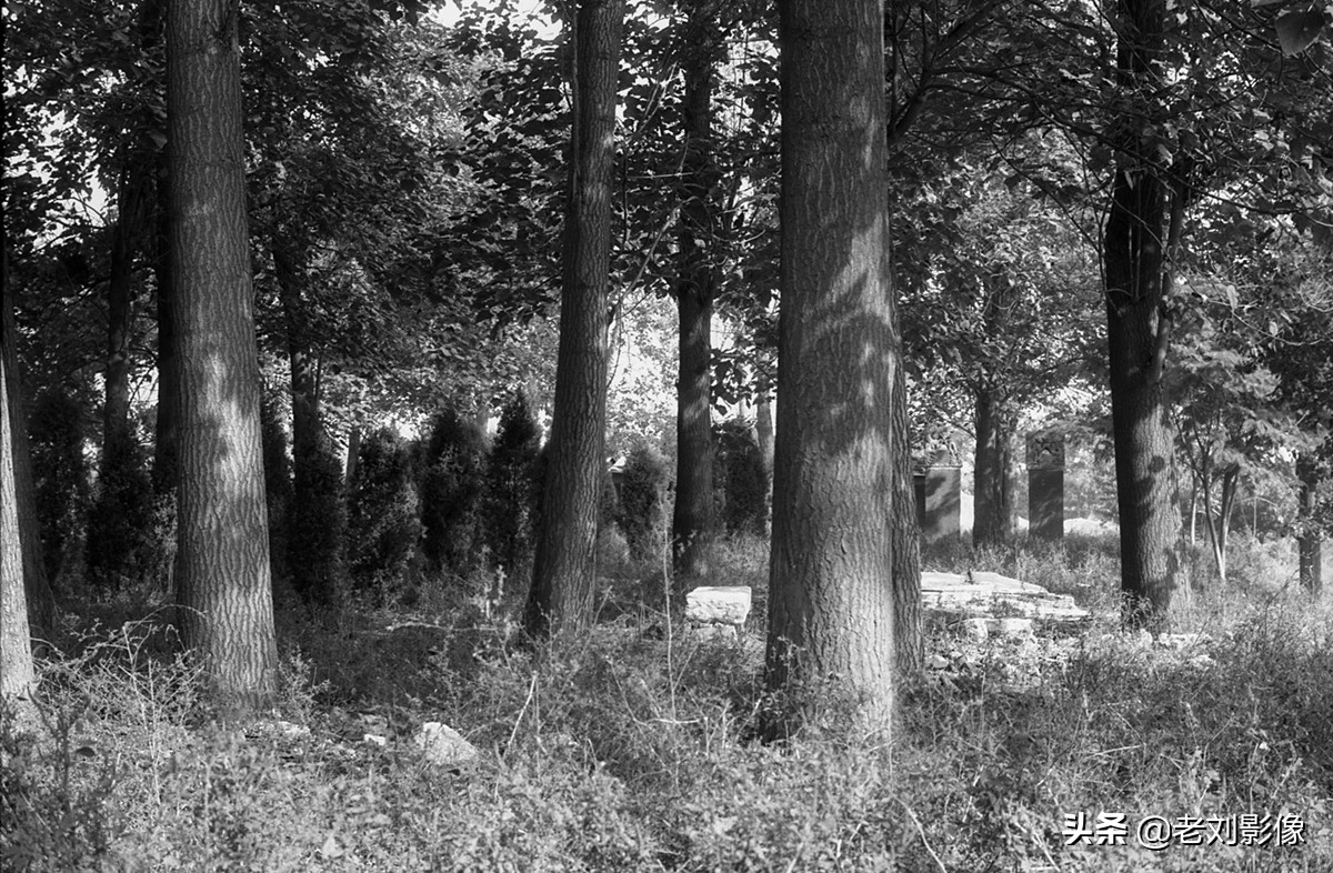 保定一亩泉泉眼在哪里,保定一亩泉消失的秘密