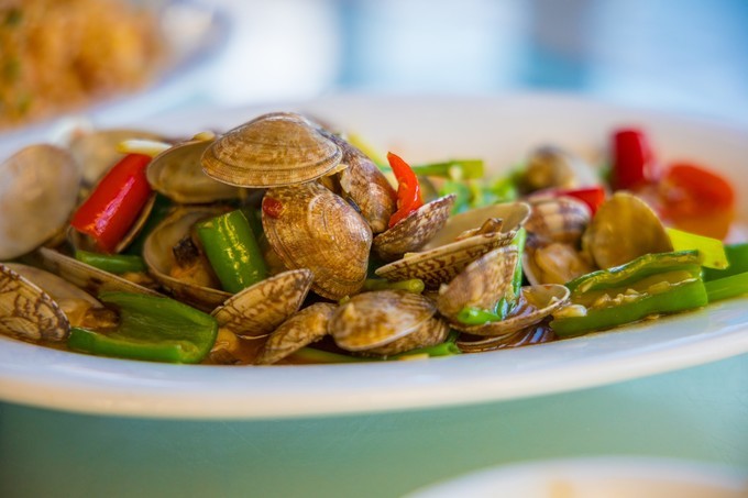 惠州出海冲浪游攻略,惠州出海攻略