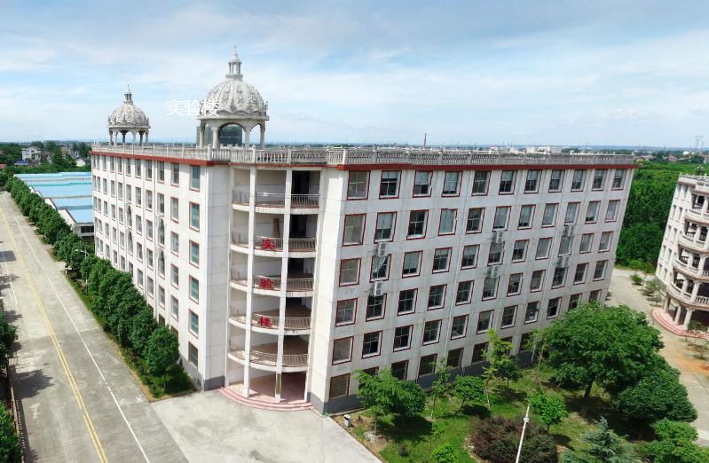 湖南成人高考本科怎样报名啊,湖南各大学选科要求最新