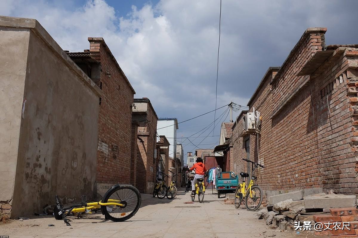 父子两户一宅如何确定宅基地面积,一宅两户宅基地面积超标