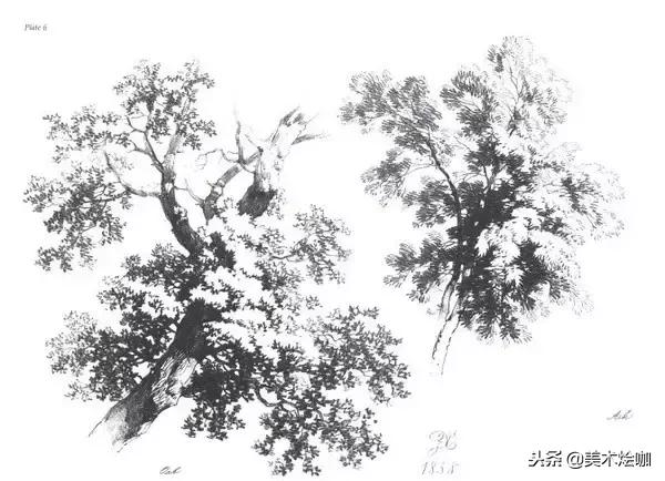 40张经典素描,40张经典素描风景图快拿去临摹吧