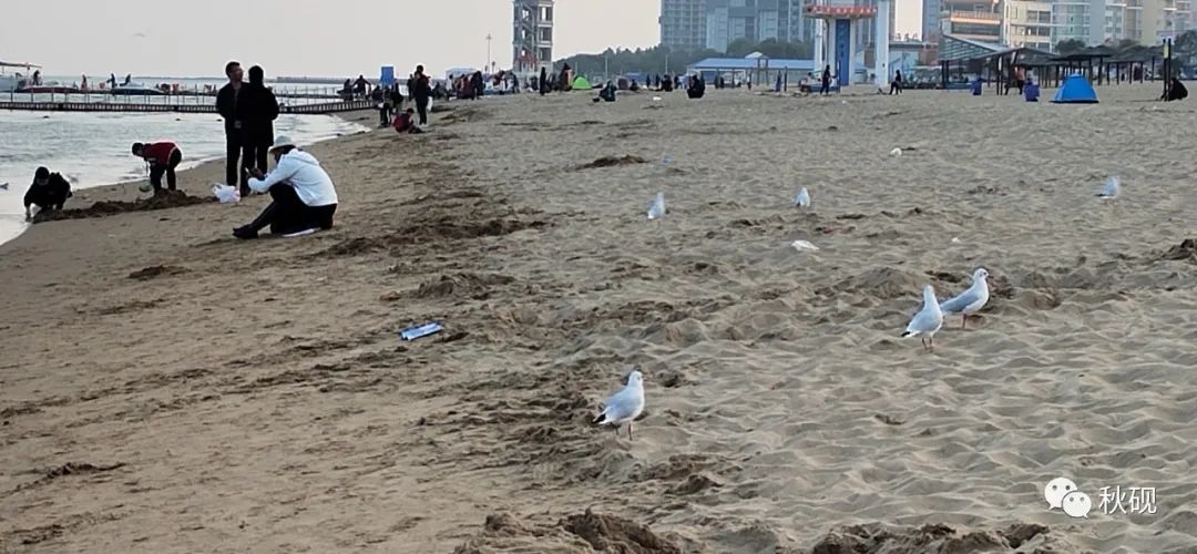 北戴河房车自驾游攻略,南戴河房车自驾游