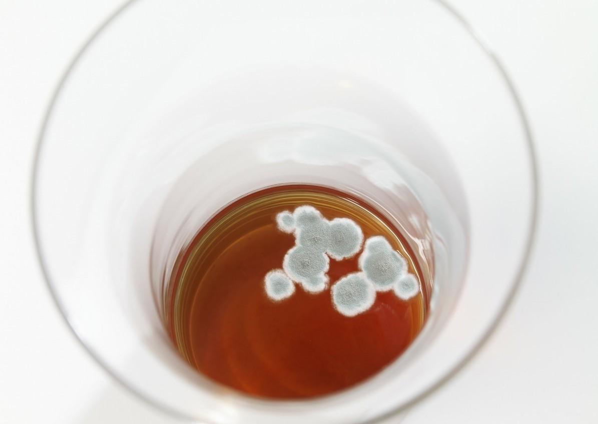 红曲与化学他汀有哪些区别,红曲里含有多少种天然植物他汀