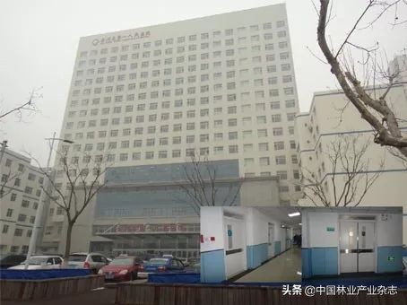 品桥木门:北京大兴机场|凤凰已经展翅,未来正在启航,我门承蒙青睐