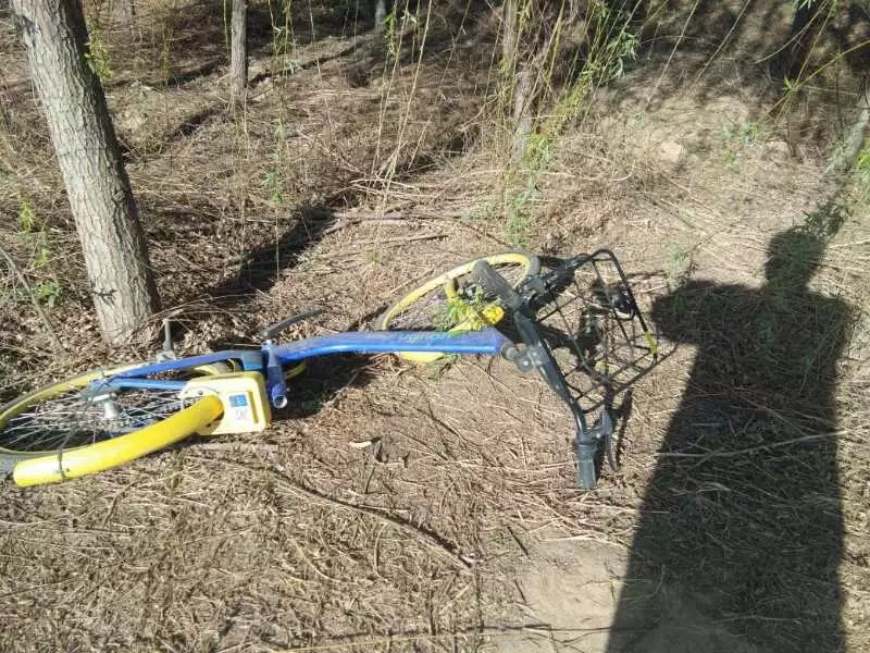 上善若水散文诗原文,上善若水整首诗翻译