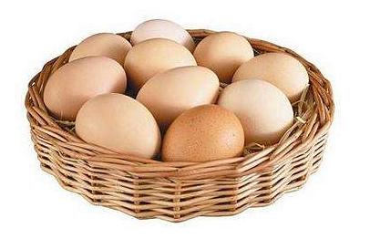 鸡蛋的结构科普小知识,鸡蛋孵化的知识科普