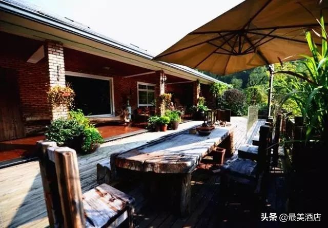 为一姑娘,10年他把30亩荒地打造成梦想家园,让人懂得真爱的意义