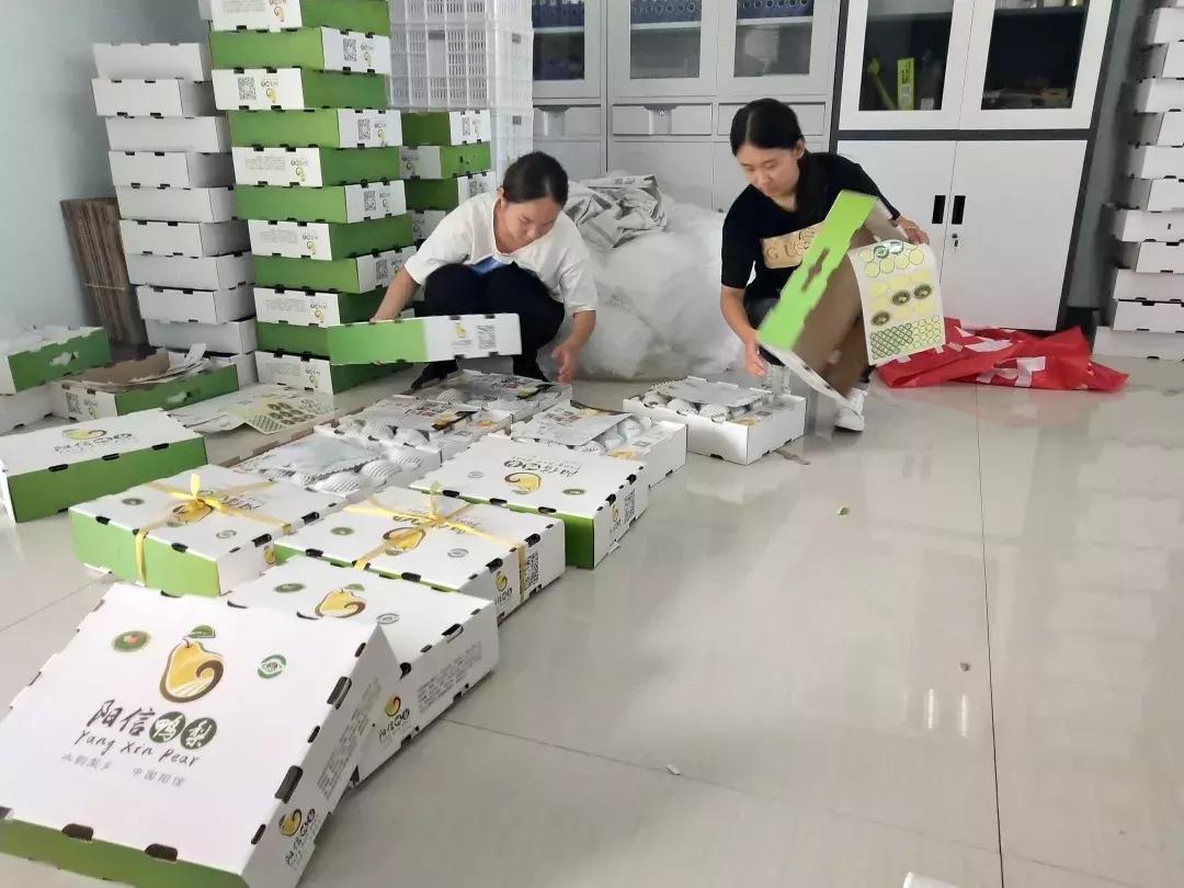 “阳信鸭梨”区域公用品牌形象标识