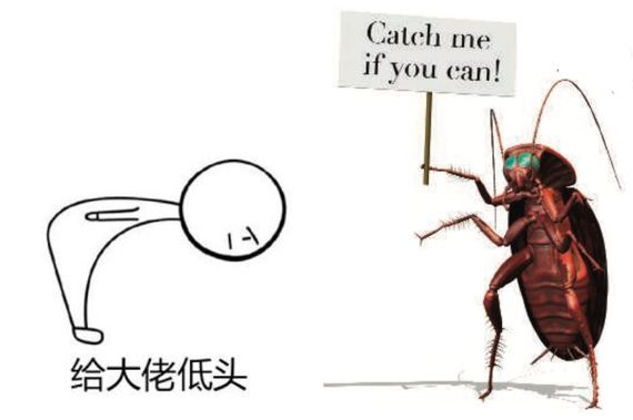 你家的蟑螂再狡猾也躲不过这一招,有没有什么解决蟑螂的小妙招