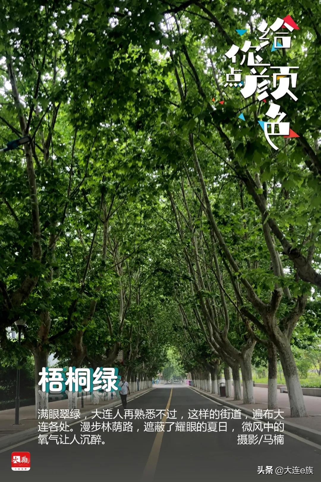 大连给车改色,大连色卡