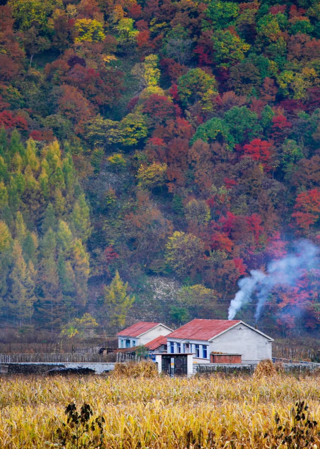谁是东北第一城,谁才是东北第一城市