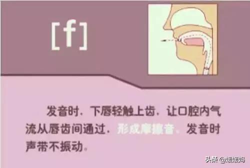 音标教学视频48个快速记忆法,英语48个音标发音教程视频
