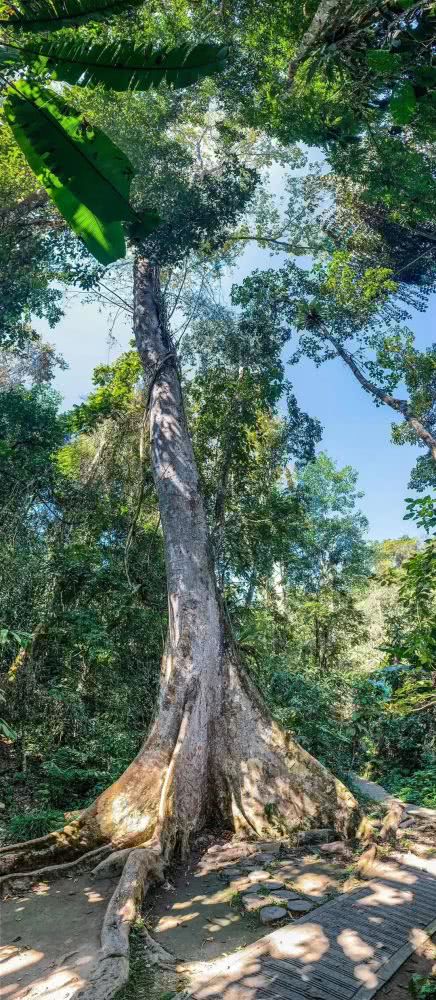 云南西双版纳幸福感,云南最有潜力的城市西双版纳