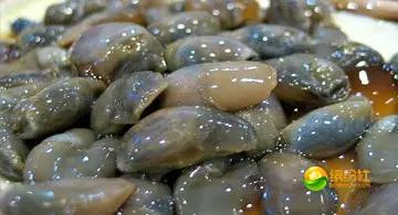 舟山海鲜攻略2天1晚住宿自由行,舟山最好的海鲜