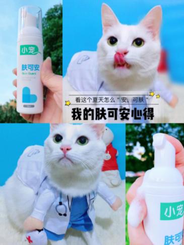 小宠肤可安猫咪用的好吗,用小宠肤可安给猫洗澡