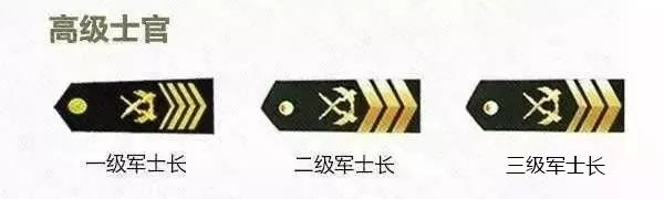 现役士官可以享受的地方福利待遇,军人士官退伍福利待遇最新政策