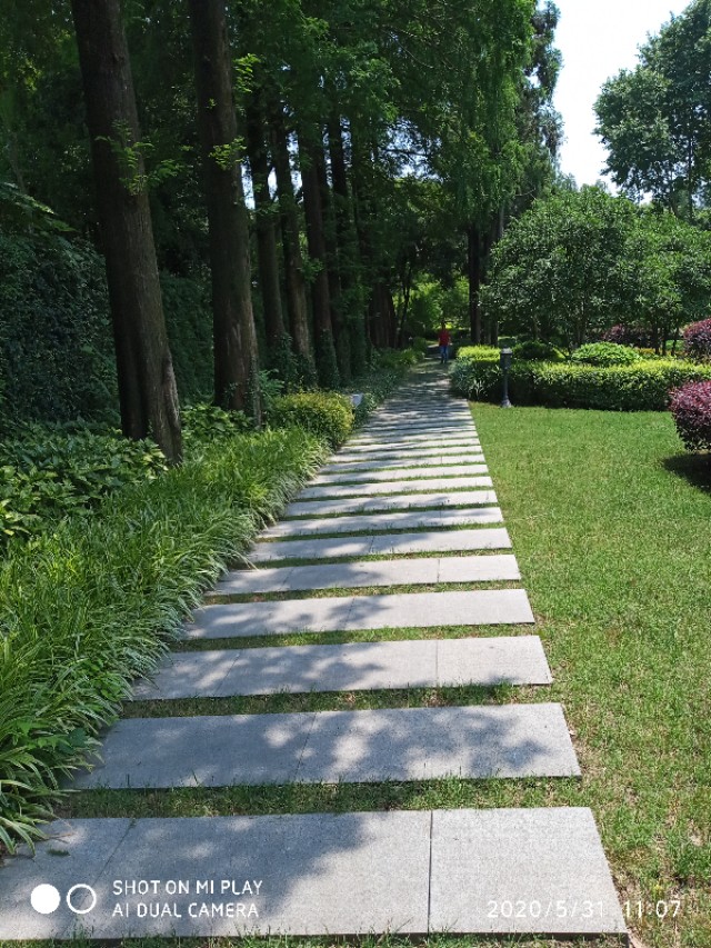 芒种种出新希望,芒种和幸福播种