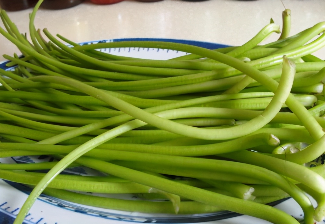 红薯藤的逆袭:曾被弃用来喂猪,如今成“蔬菜皇后”,3元一把