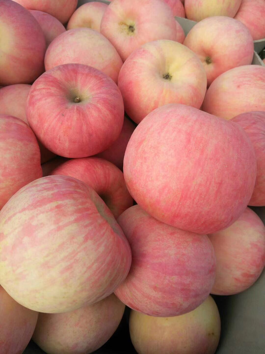 烟台的水果市场,烟台的水果是最好吃吗