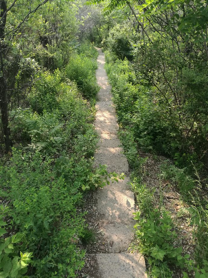 漫山花如雪，风吹暗香来