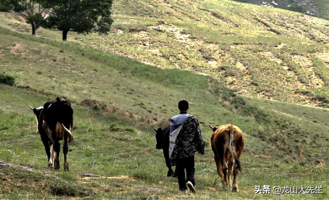 大同方言集合,大同话方言阅读