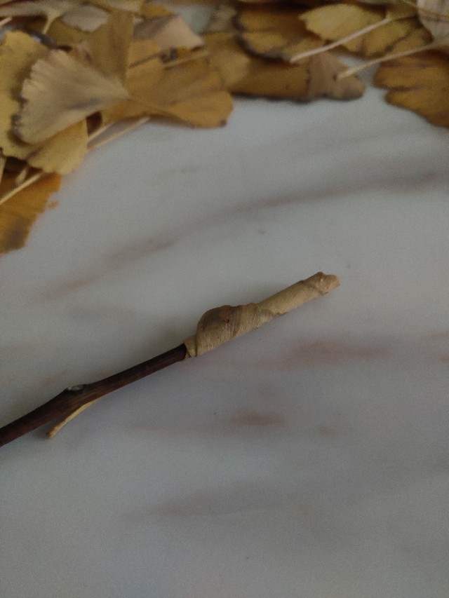 银杏叶手工花贴画幼儿园简单,银杏叶可以做什么手工小学生做的