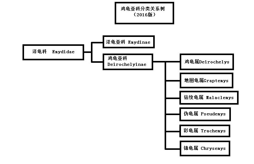 我是谁韩国版人物图片,我是谁日本原版