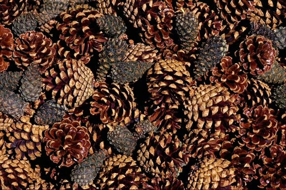 广西80后农村童年经典回忆,80后的童年回忆广西的农村生活