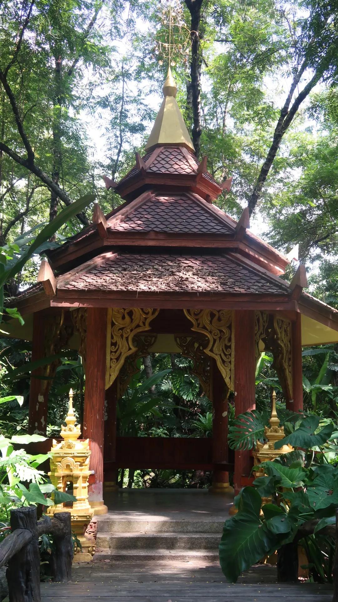 西双版纳3000家酒店，怎么选体验感才最好？