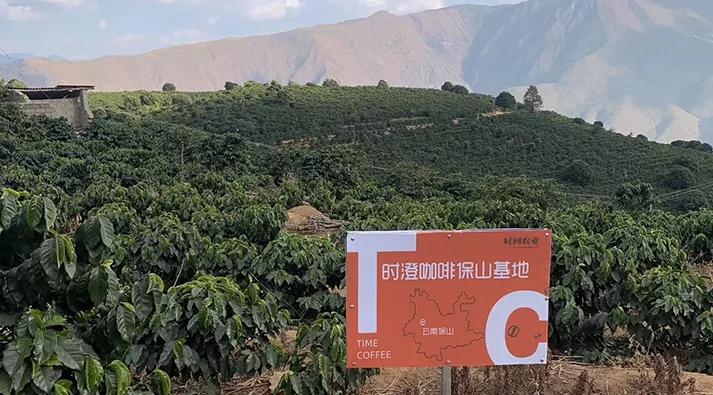 云南咖啡试喝,云南黑咖啡怎么喝才好喝