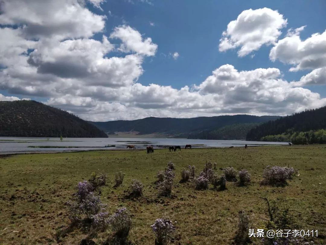 小聂跑法是怎么跑的,小聂跑步技巧视频教程