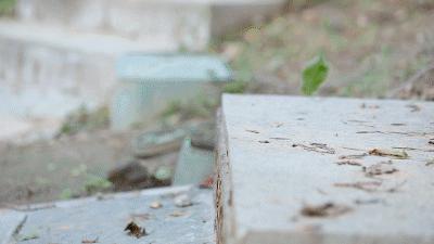 性价比高的跑鞋刀锋鞋,刀锋鞋底潮流跑鞋