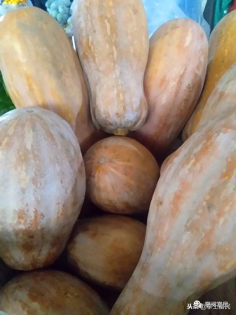 家乡是我们成长的沃土,家乡是生养我们的地方