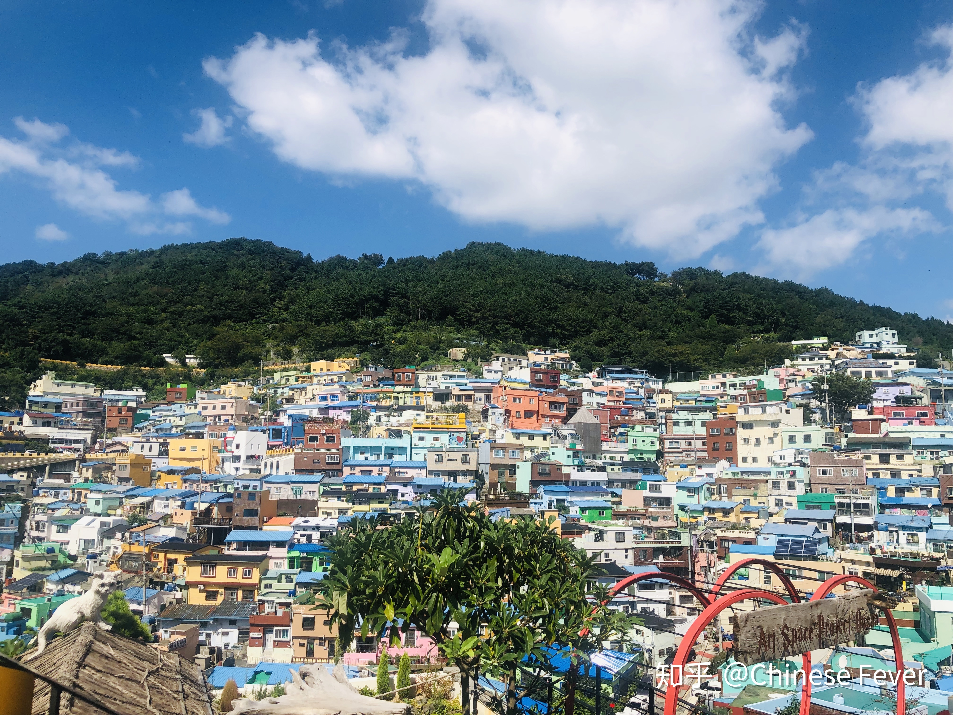 去韩国当汉语老师应具备哪些条件,去韩国学中文专业