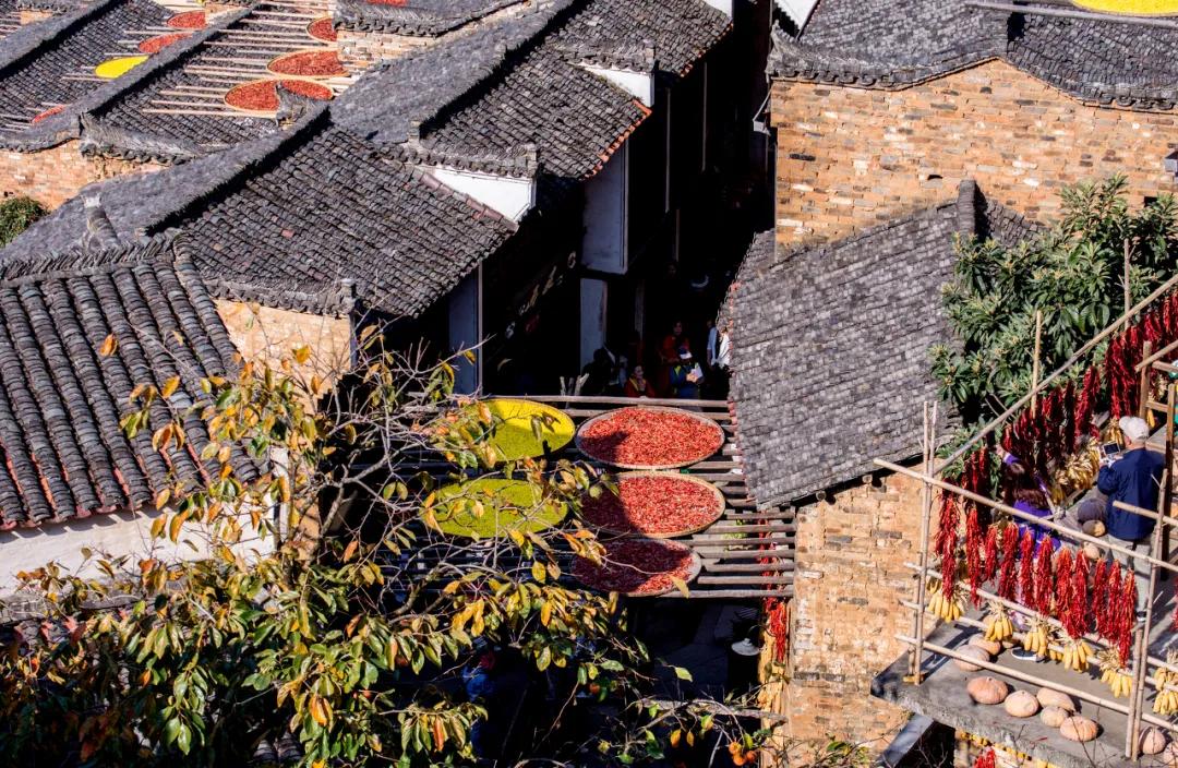 这才是中国最美的乡村,最值得去的鲜花小镇