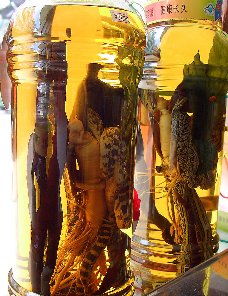 补肾药酒要会泡才是药酒,补肾壮阳的药酒一次喝多少好