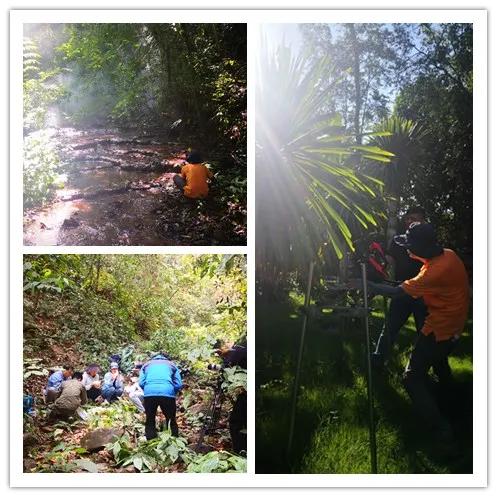 边睡觉边治疗、深山里的龙血树、形态各异的石斛，在这种独特的傣医药文化里还有更多的秘密