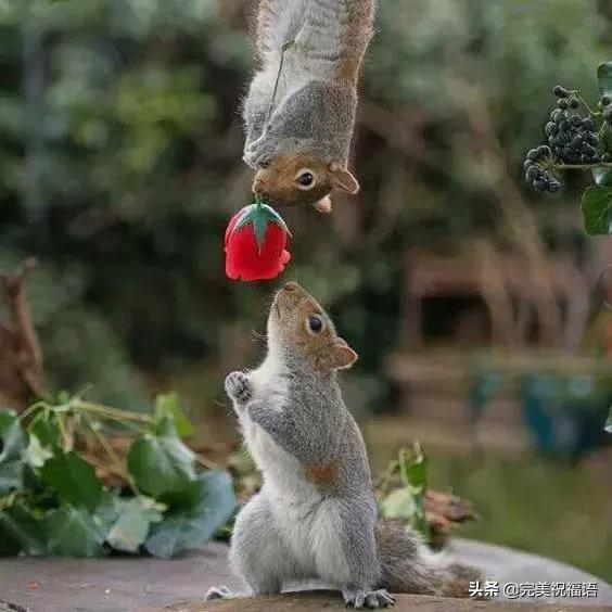 今天2.1，2月第1天，谁编的，太好笑了，给群里乐一乐~