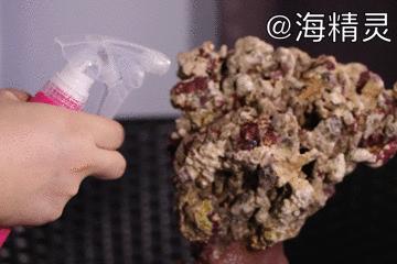 先造景再爆藻还是先爆藻再造景,先造景还是先养水