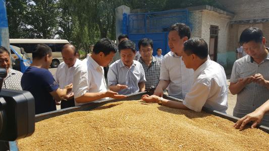 新粮食安全观和国家粮食安全战略,官方回应加强粮食安全最新消息