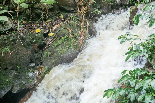 来大山里呼吸负氧离子,肇庆龙潭生态瀑布