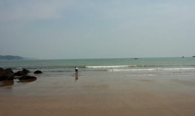 苍南县全国百强镇,苍南全国百强县排第几